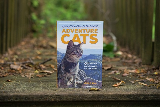 Adventure Cats Book